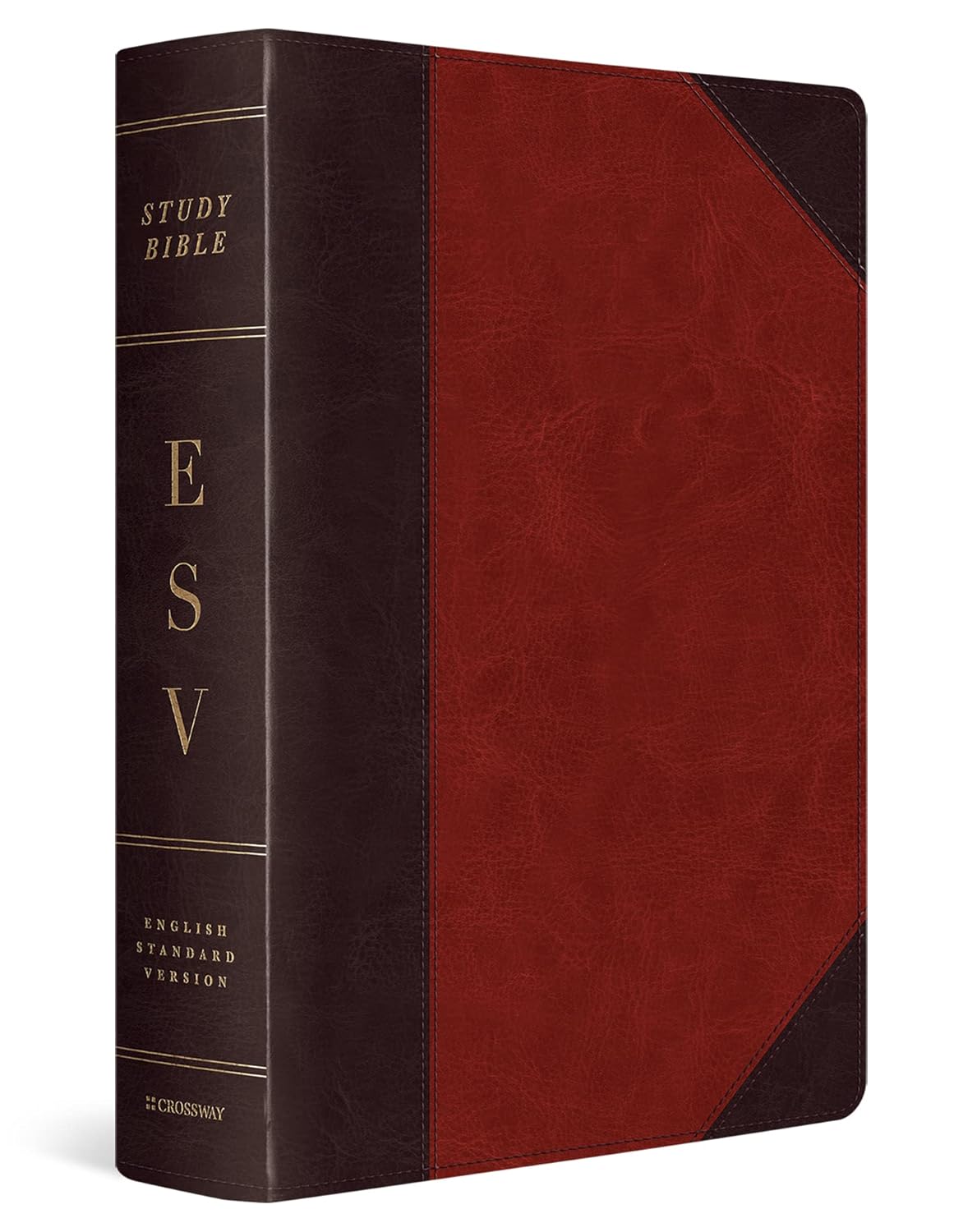 ESV Study Bible Large Print with Portfolio Design for Easy Reading