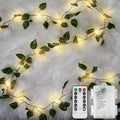 Pothos Vine String Lights 33ft 100 LED Warm White - Remote Timer