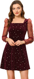 Sparkly Glitter Velvet Mesh Sheer Sleeve Star Metallic Dress