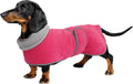 Dachshund Sweater for Dogs - Warm Waterproof Winter Coat