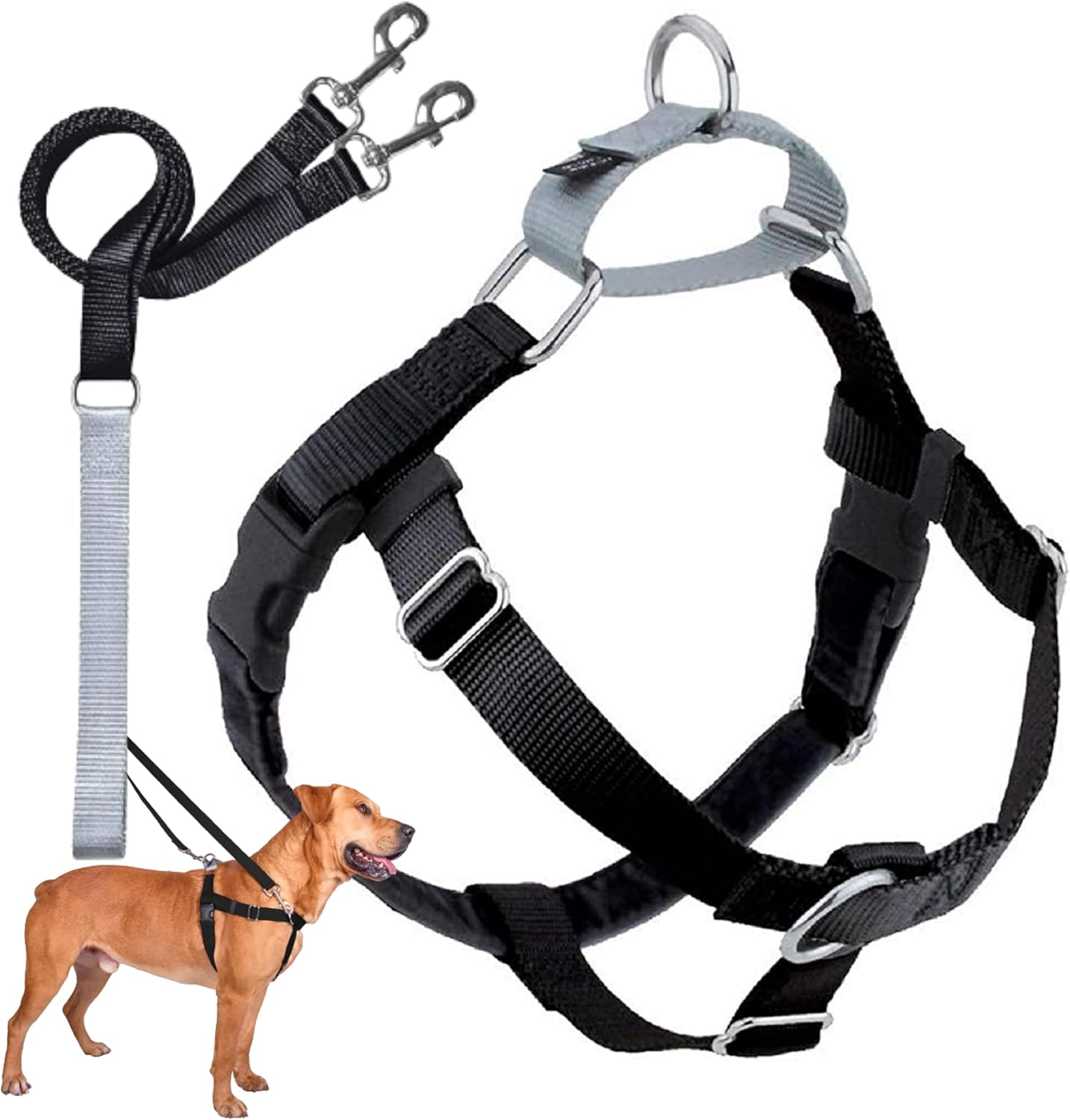 Freedom No Pull Dog Harness for Easy Walking and Control