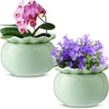 Self Watering African Violet Pots 2 Pack - Low Maintenance 6 in