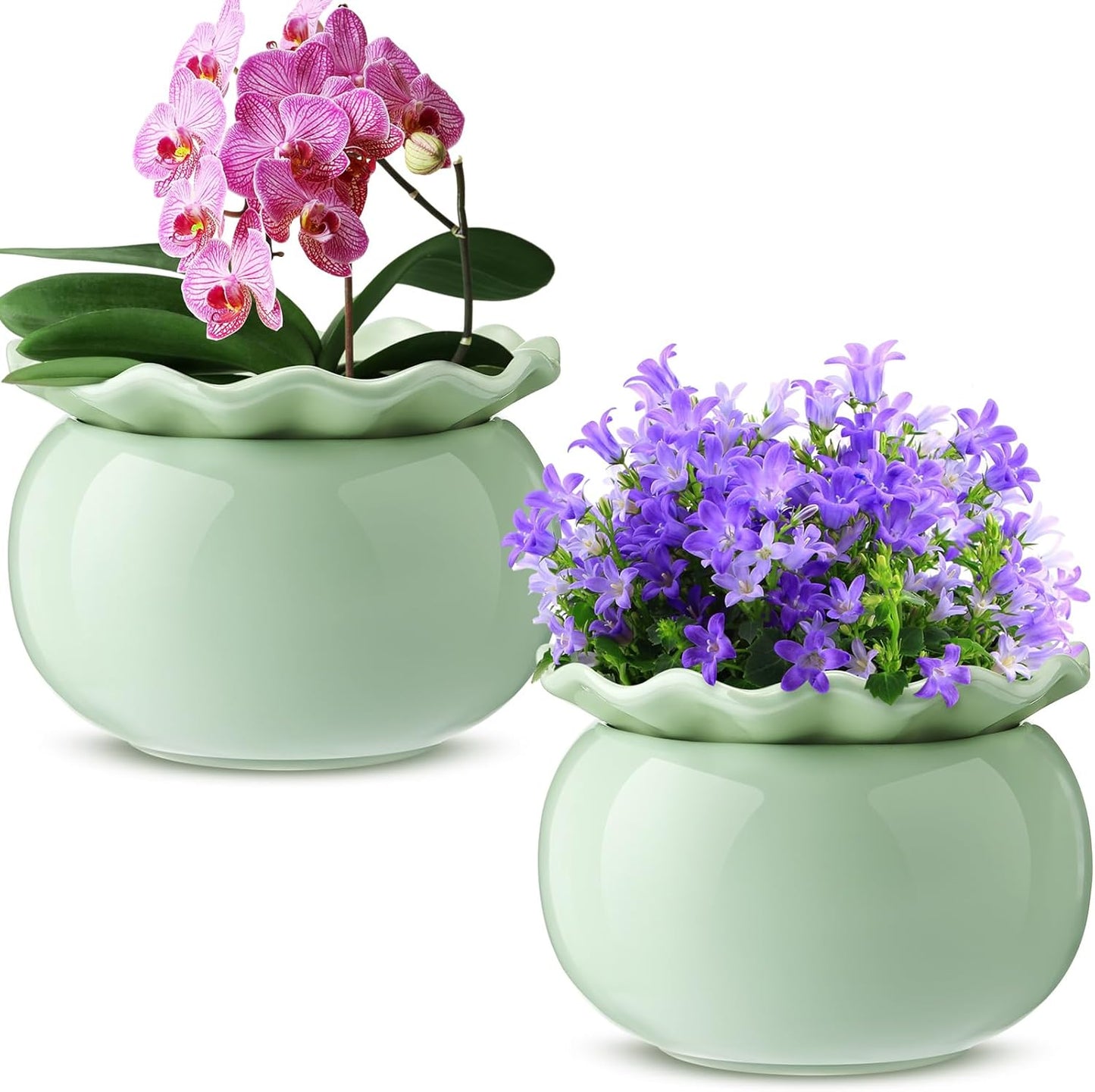 Self Watering Ceramic African Violet Pots for Indoor Plants