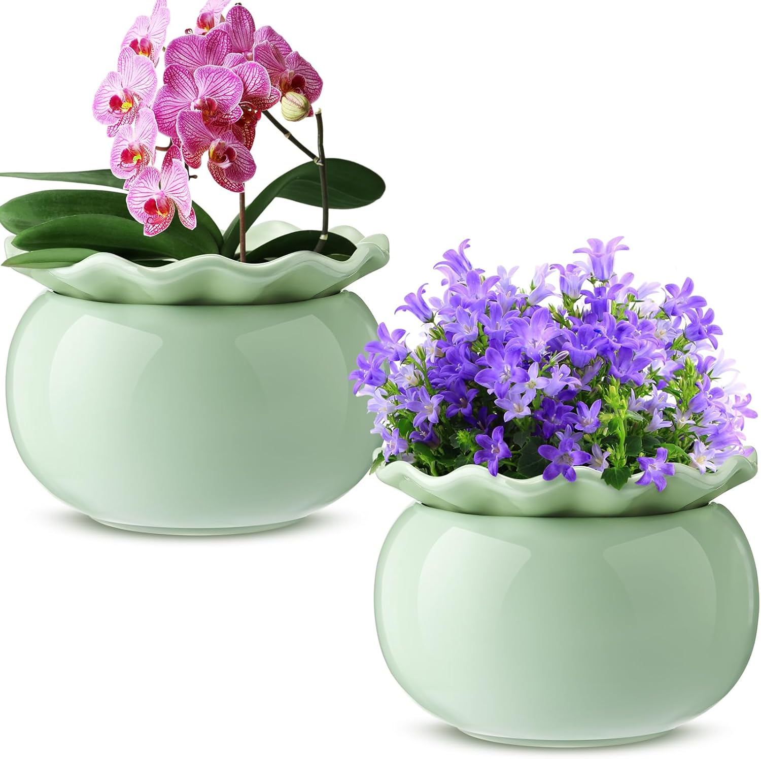 Self Watering Ceramic African Violet Pots for Indoor Plants