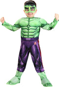 Incredible Hulk Toddler Costume for Halloween and Play Fun