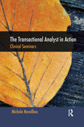 The Transactional Analyst in Action by Michele Novellino Review