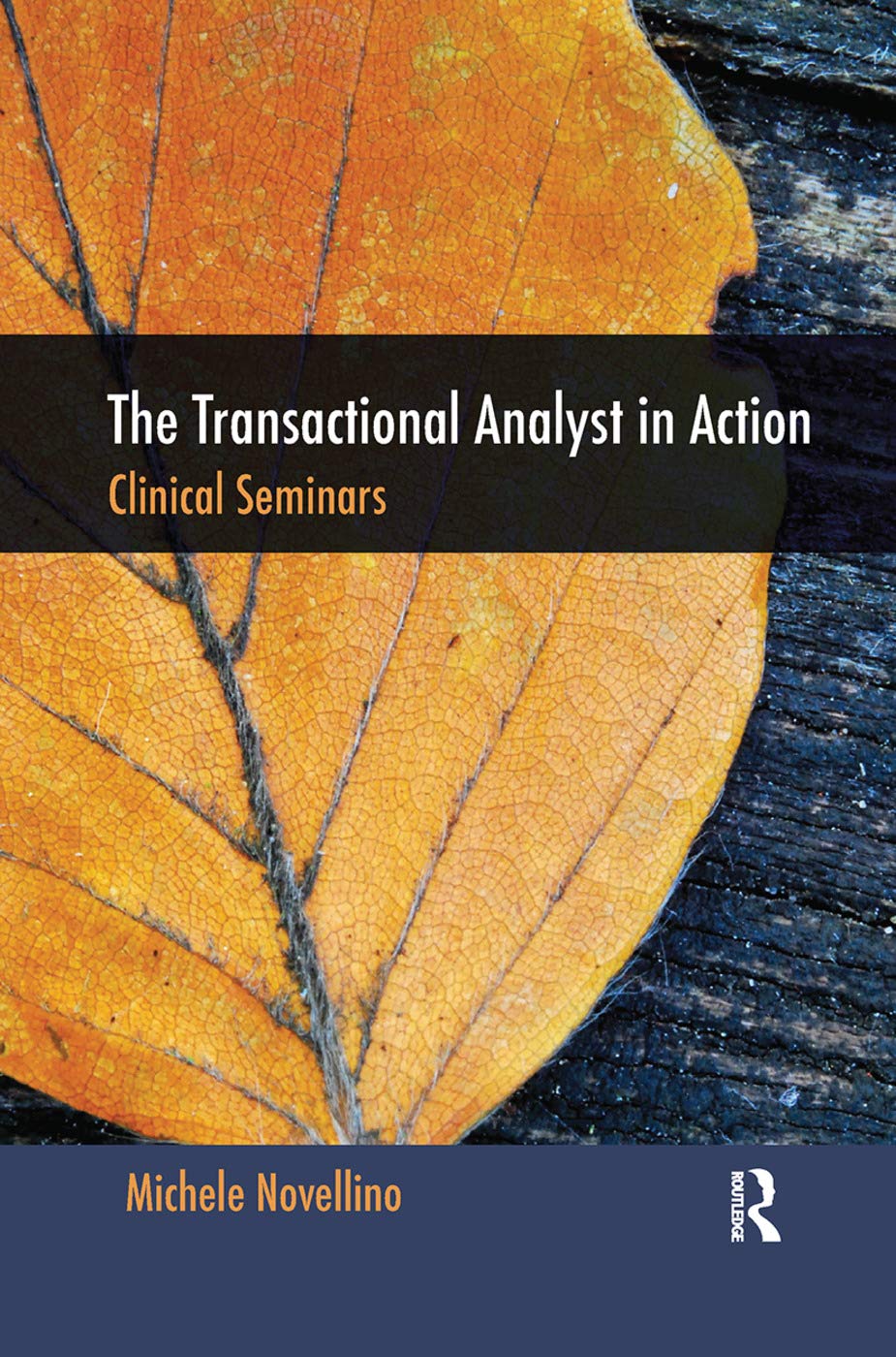 The Transactional Analyst in Action by Michele Novellino Review