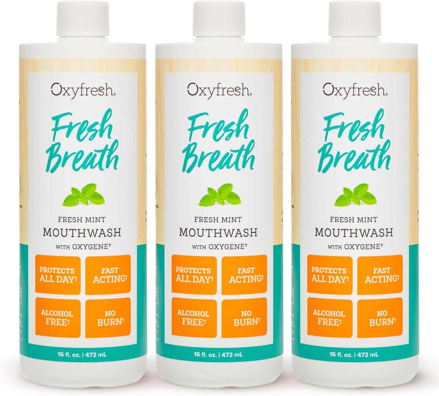 Oxyfresh Fresh Breath Fresh Mint Mouthwash for Healthy Gums