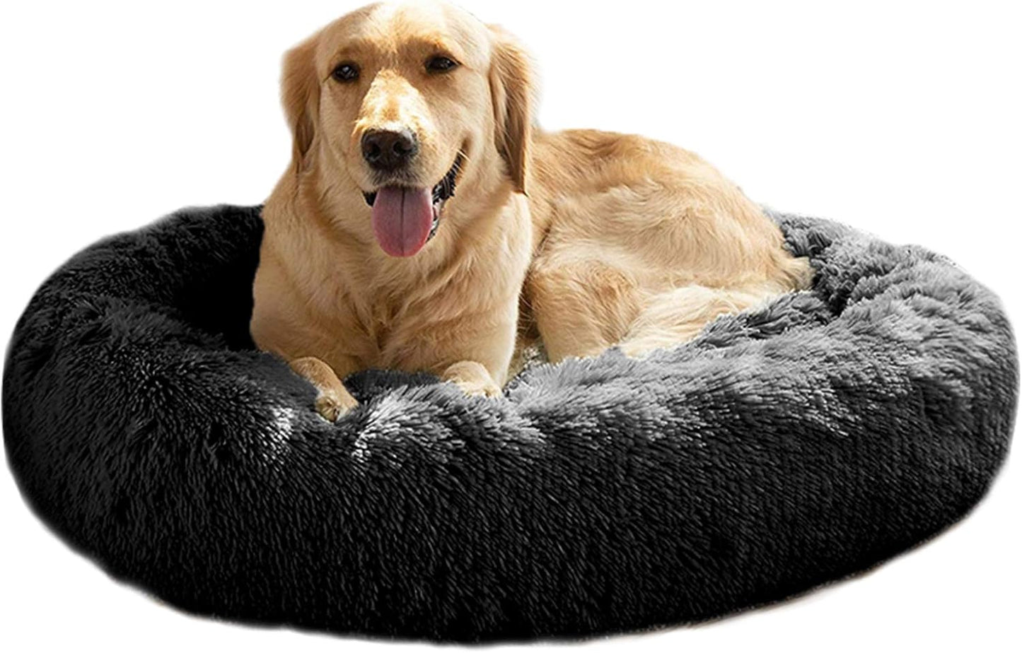 MFOX Calming Dog Bed for Medium and Large Dogs - Comfort & Style
