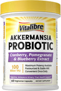 Akkermansia Probiotics 100 Billion TFU - Digestive & Immune Support