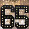 4FT Marquee Light Up Numbers Black - Bold 65 Birthday Backdrop