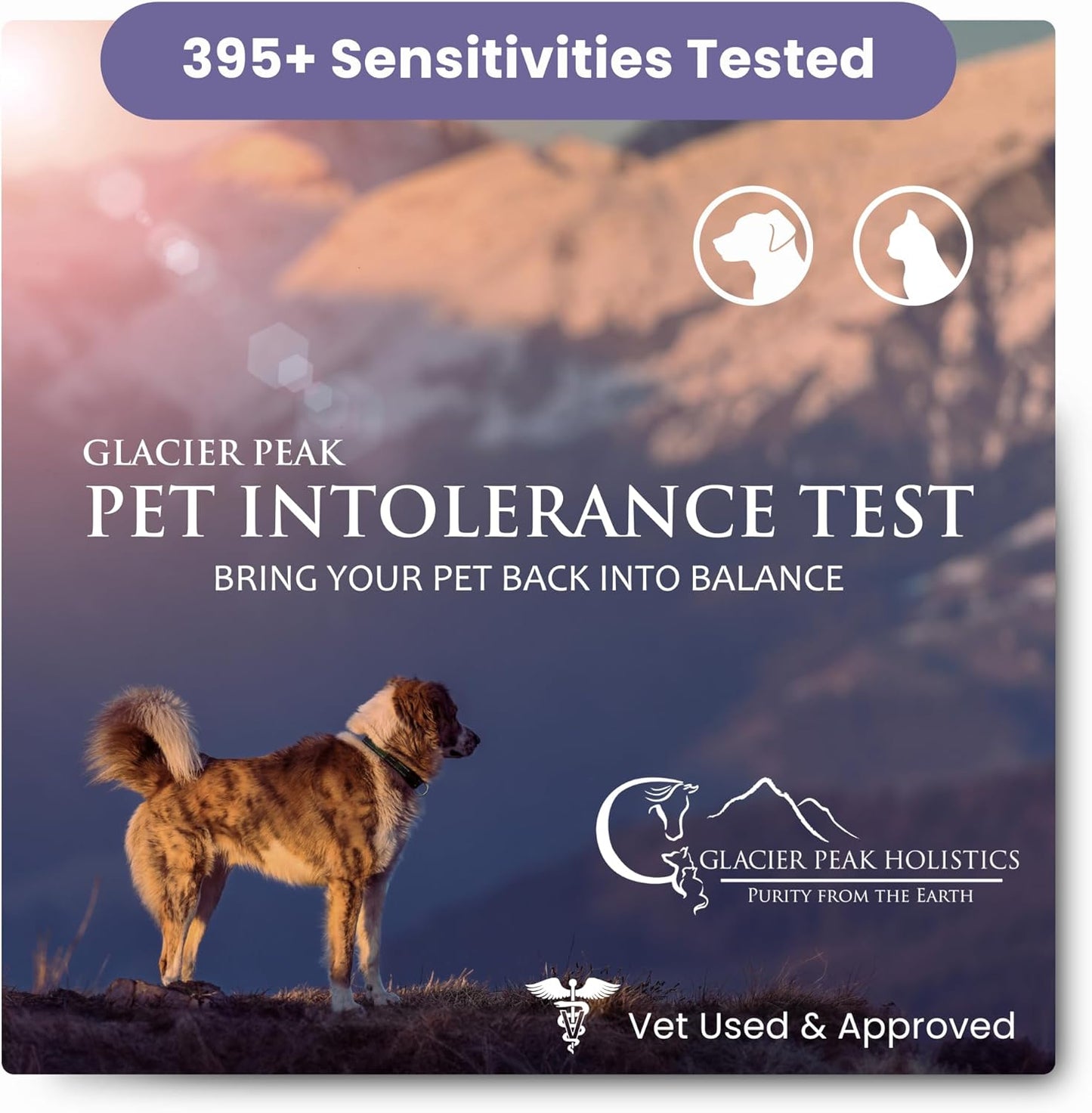 Glacier Peak Holistics Pet Intolerance Test for Cats and Dogs