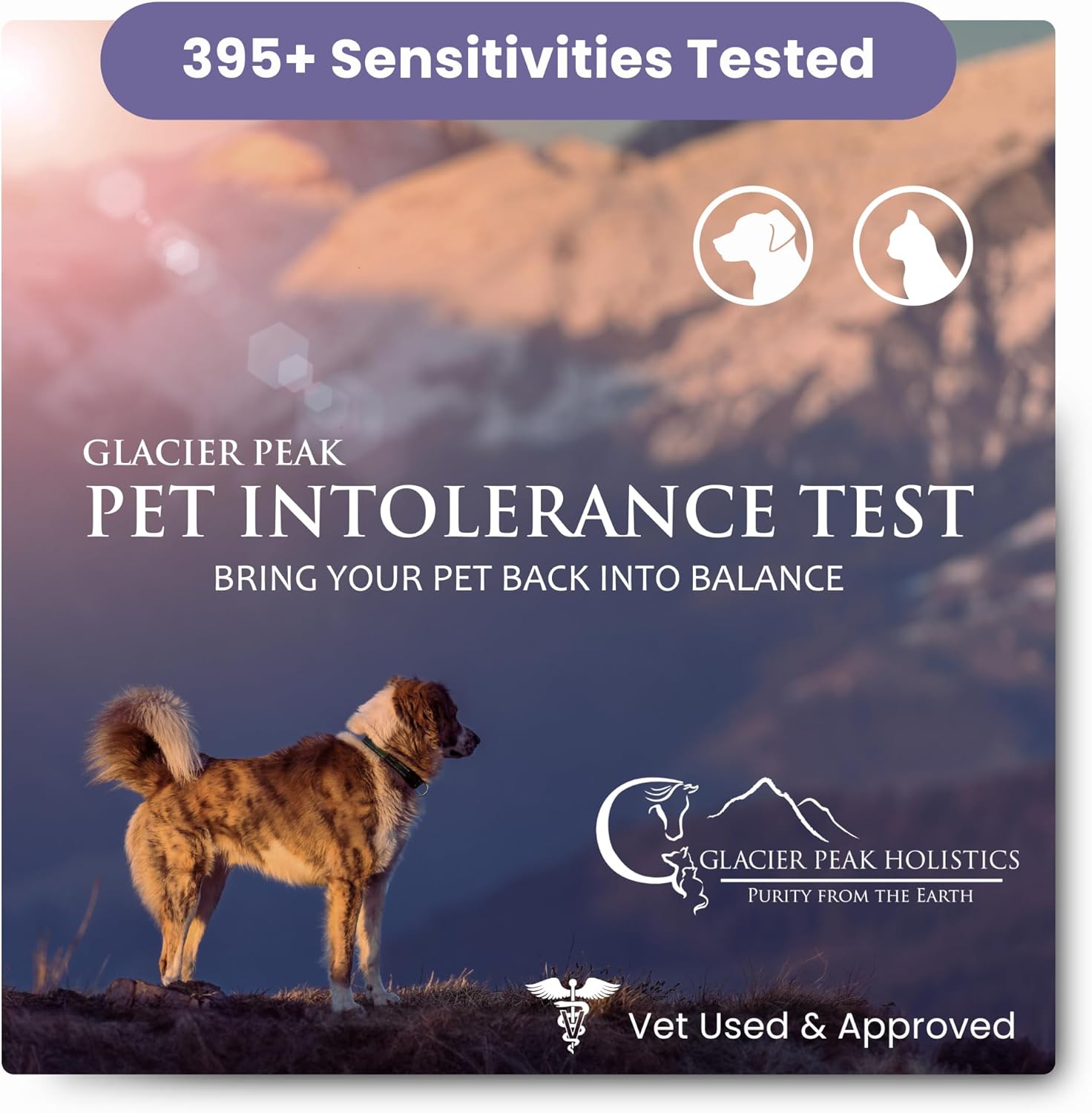 Glacier Peak Holistics Pet Intolerance Test for Cats and Dogs