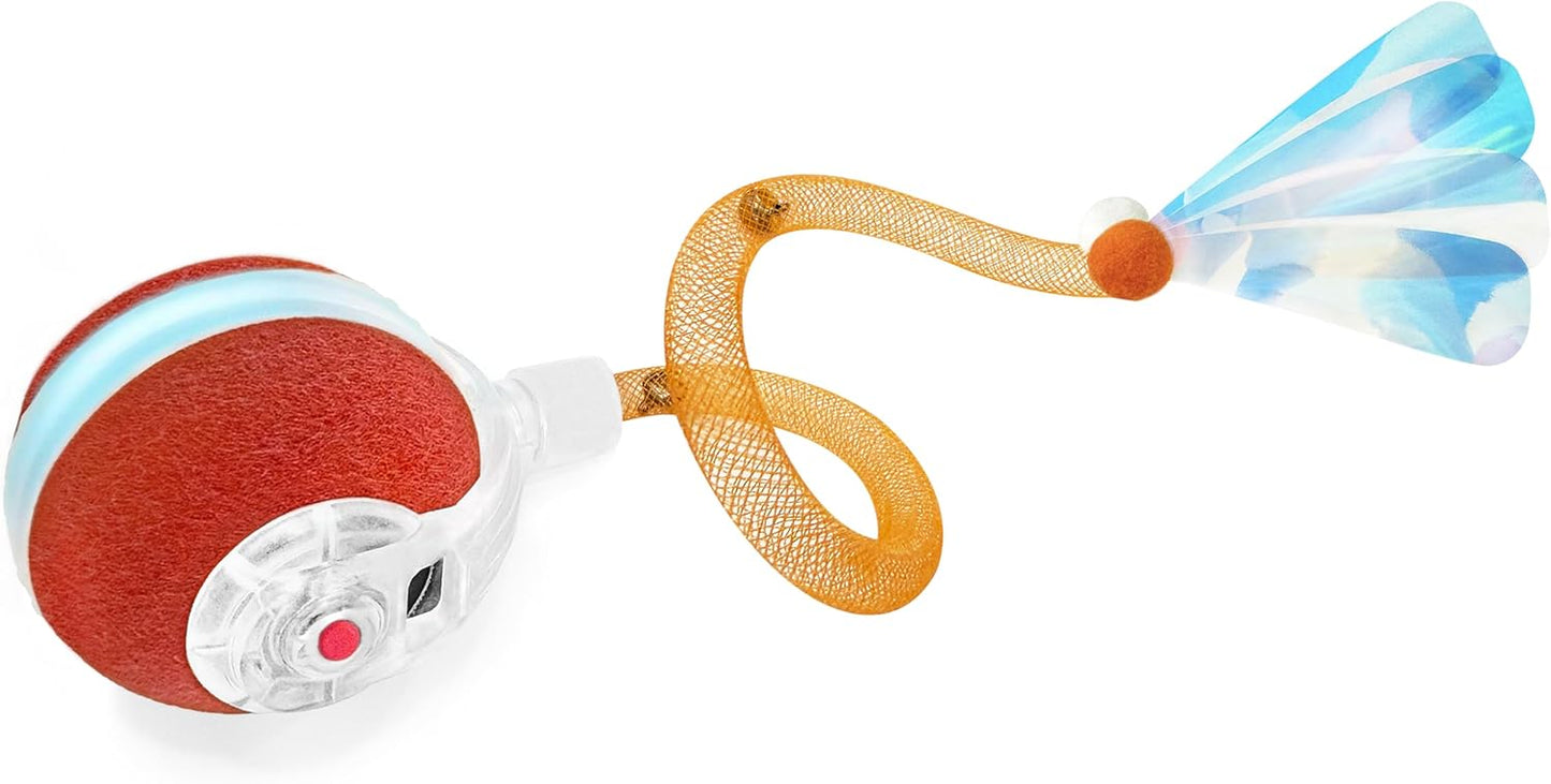 Motion-Activated Agile Cat Ball by Jkanti