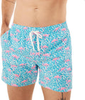 Mens Swim Trunks with 4-Way Stretch and 5.5 in Inseam - Chubbies