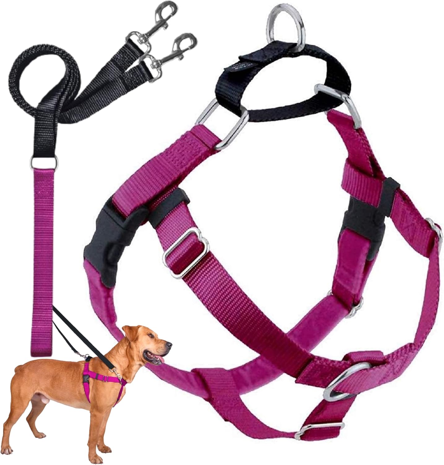 Freedom No Pull Dog Harness for Easy Walking & Control