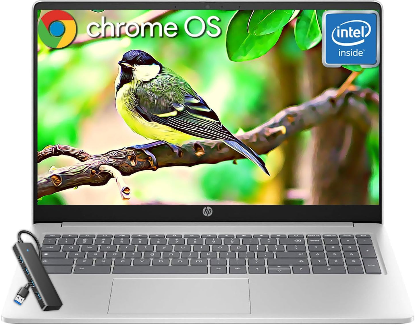 HP Chromebook 15.6 Laptop for Students and Business Use