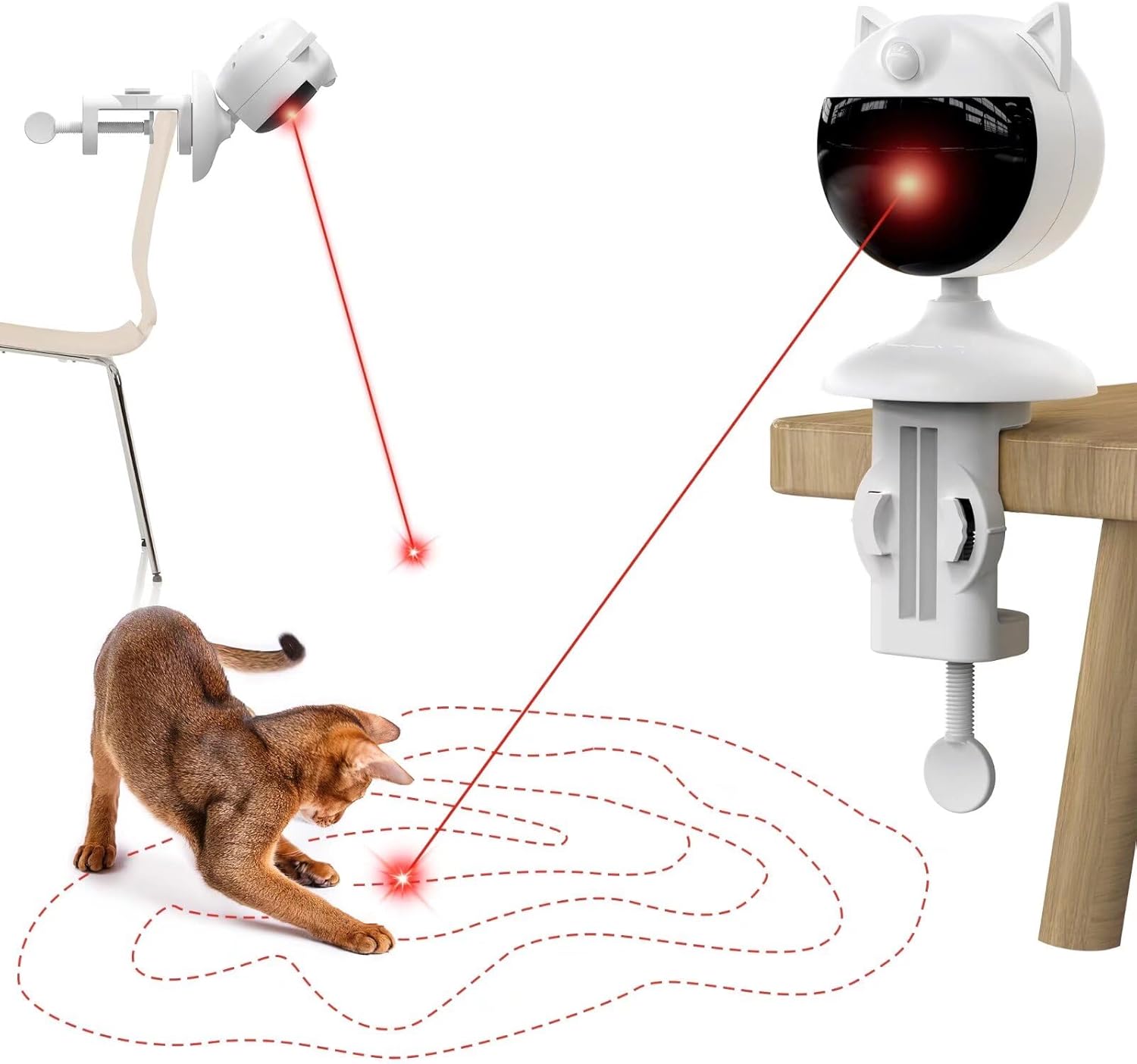 Purrfectly Random Laser Fun for Cats by Potaroma