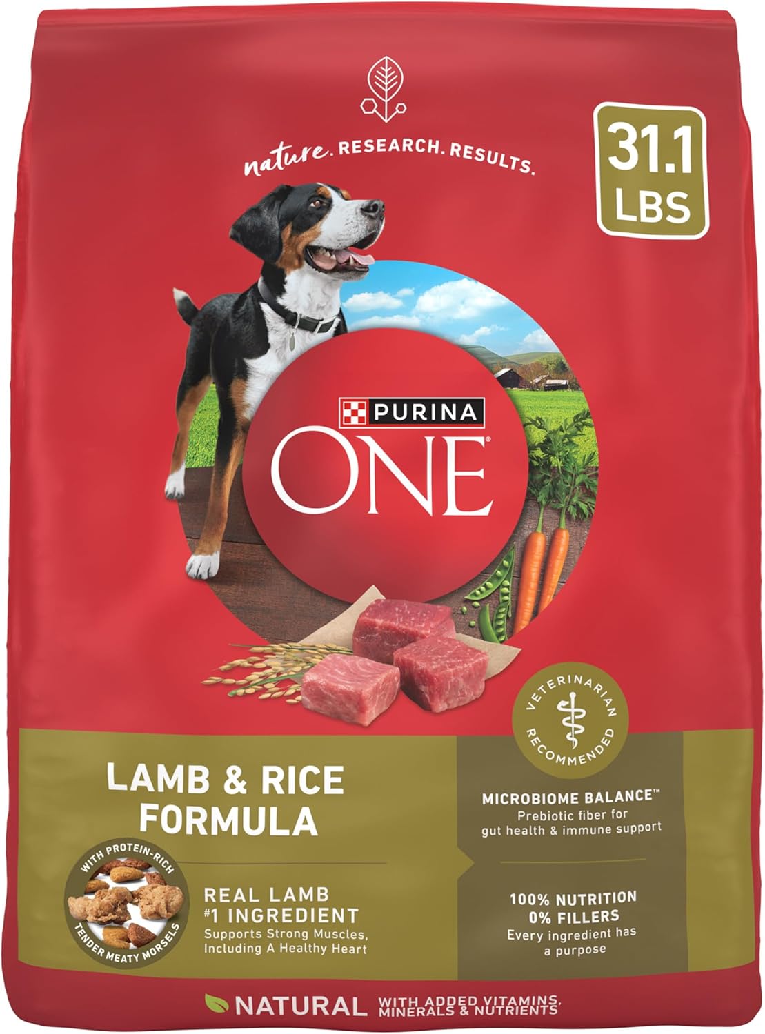 Purina ONE Dry Dog Food Lamb and Rice Formula Review