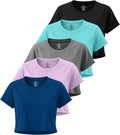 Women's Dry Fit Crop Top 5 Pack - Stretch Crew Neck Athletic Tee Yoga