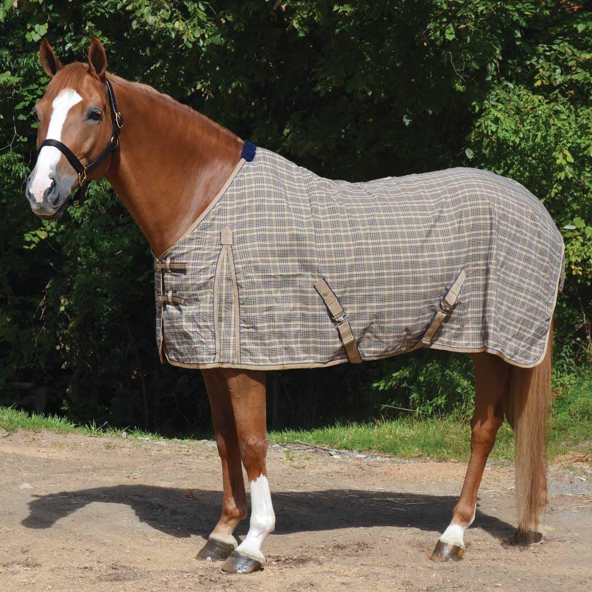 Classic Plaid Stable Sheet - Keep Your Horse Cozy!