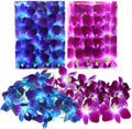 Fresh Orchid Floral Blooms for Creative Lei and Decoration Projects