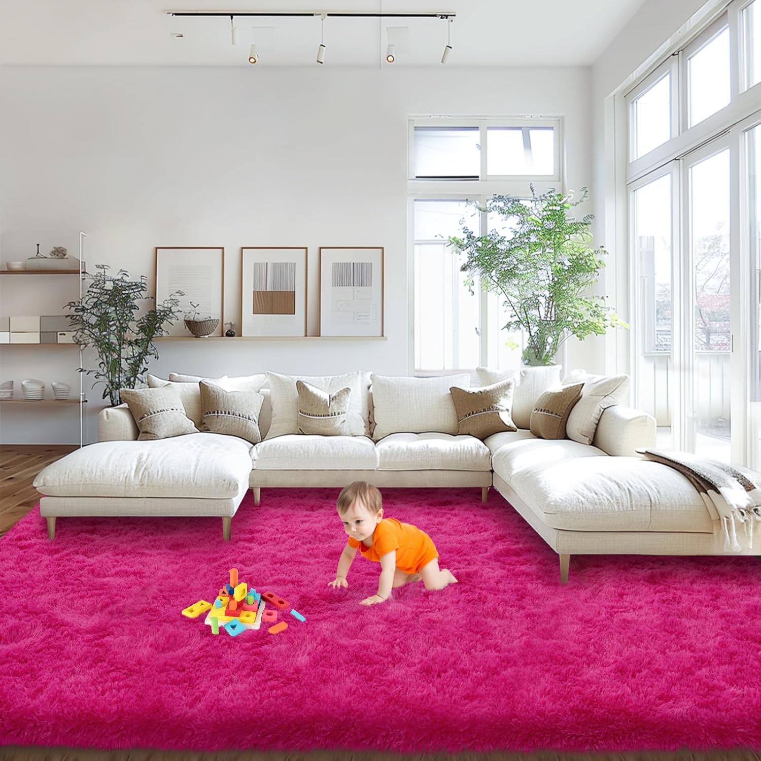 Large Fluffy Area Rugs for Bedroom and Living Room Decor