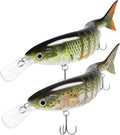 TRUSCEND Easy Catch Swimmax: Lifelike Fishing Lures for All