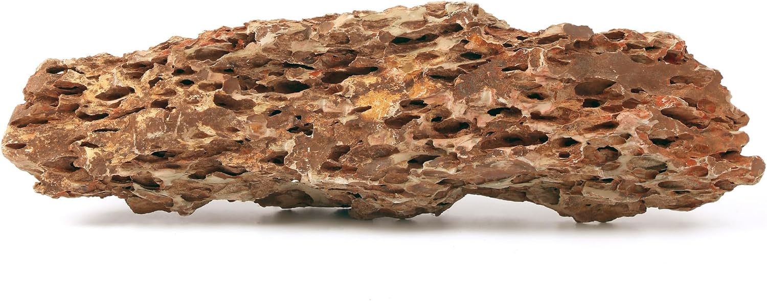Natural Dragon Stone 22-24 Inches for Stunning Aquascaping