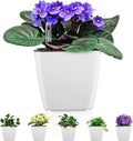 Self Watering Planters for Indoor Plants 5 in 6 Pack - Low-Maintenance