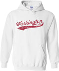Pitcher Hoodie Hometown Baseball Script - Unisex Comfort and DC Pride