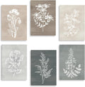 Neutral Botanical Plant Canvas 6 Pieces Wall Art - Rustic Neutral Set
