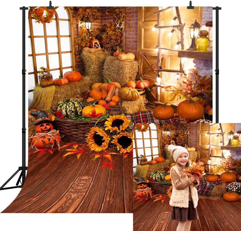 10X10FT Fall Pumpkin Vinyl Background for Kids Parties and More