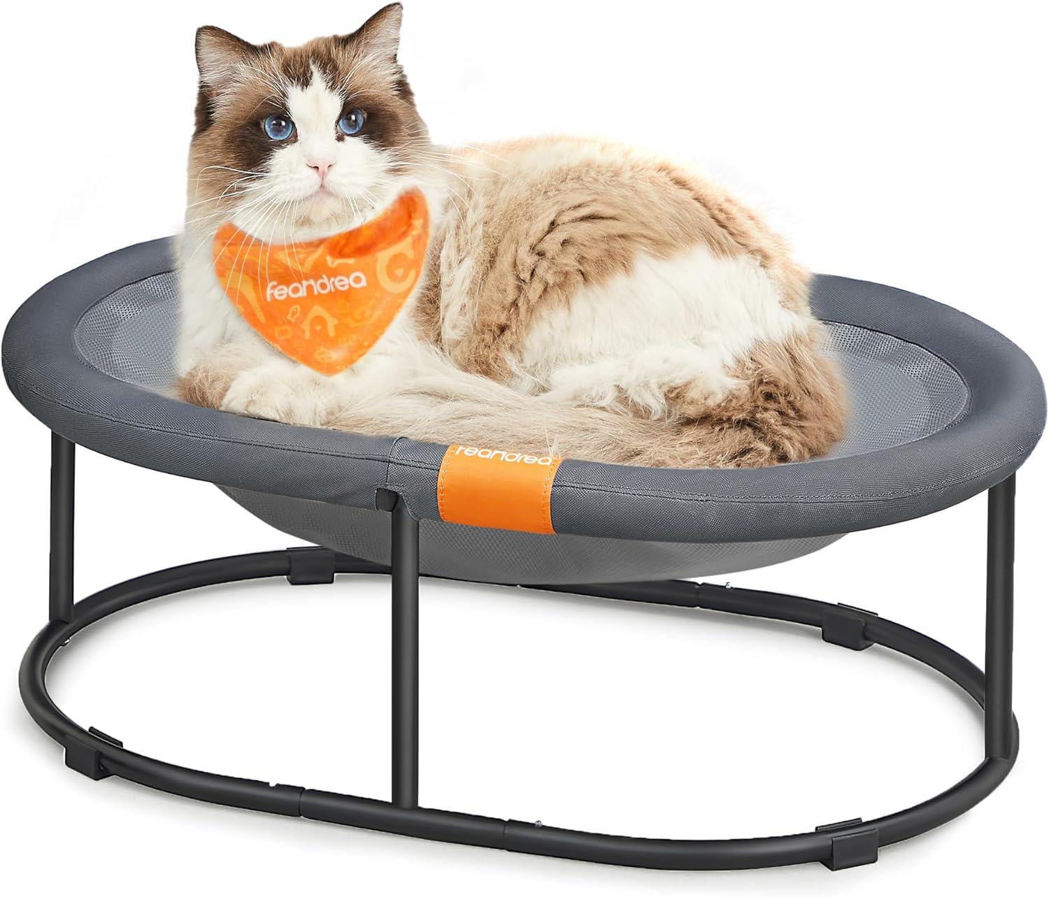 Feandrea Elevated Cat Bed with Removable Washable Mesh for Cats