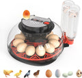 NWH 12 Egg Incubator with Temp & Humidity Control - Reliable Hatching