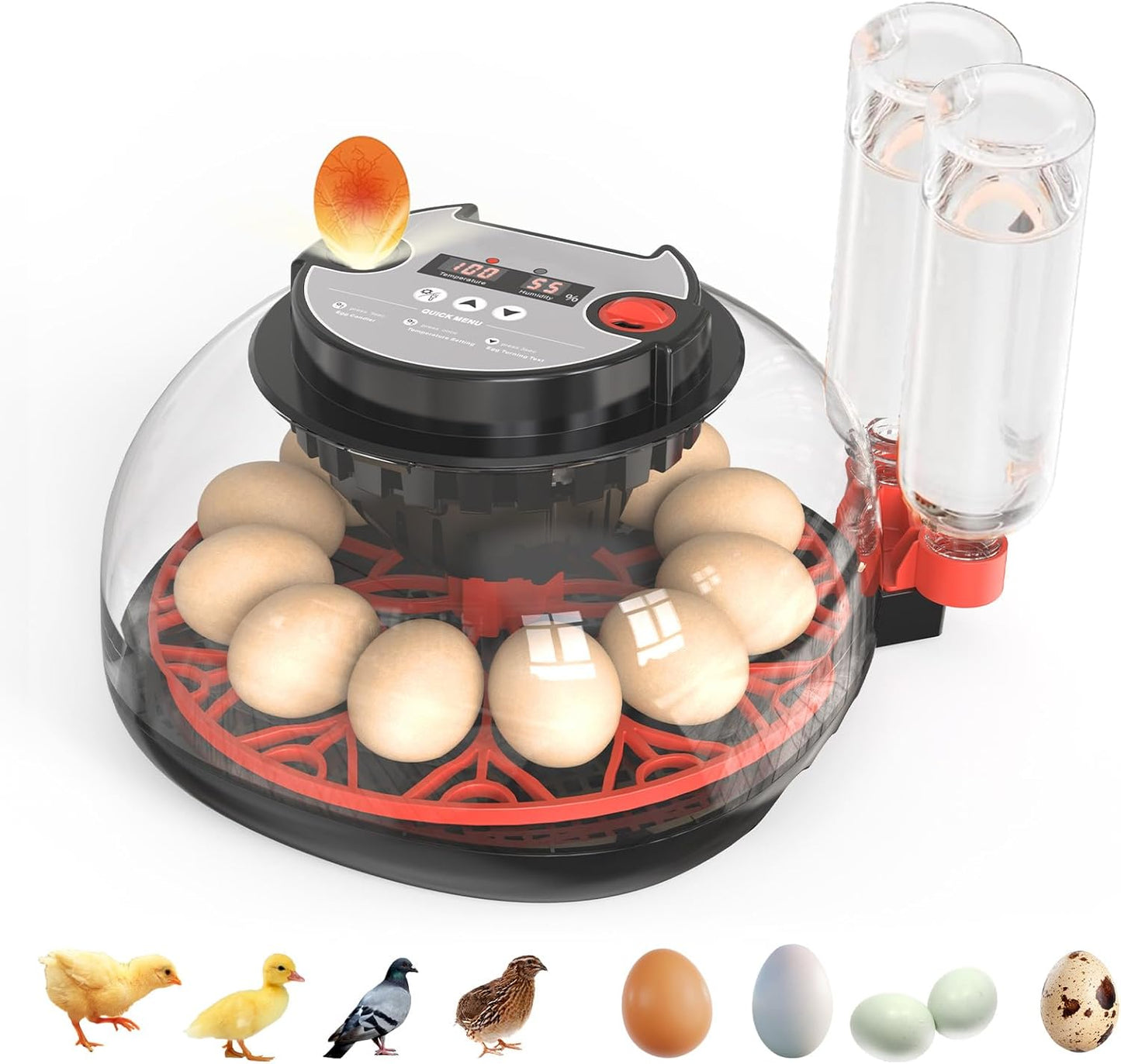 NWH 12 Egg Incubator with Smart Temperature Control Features
