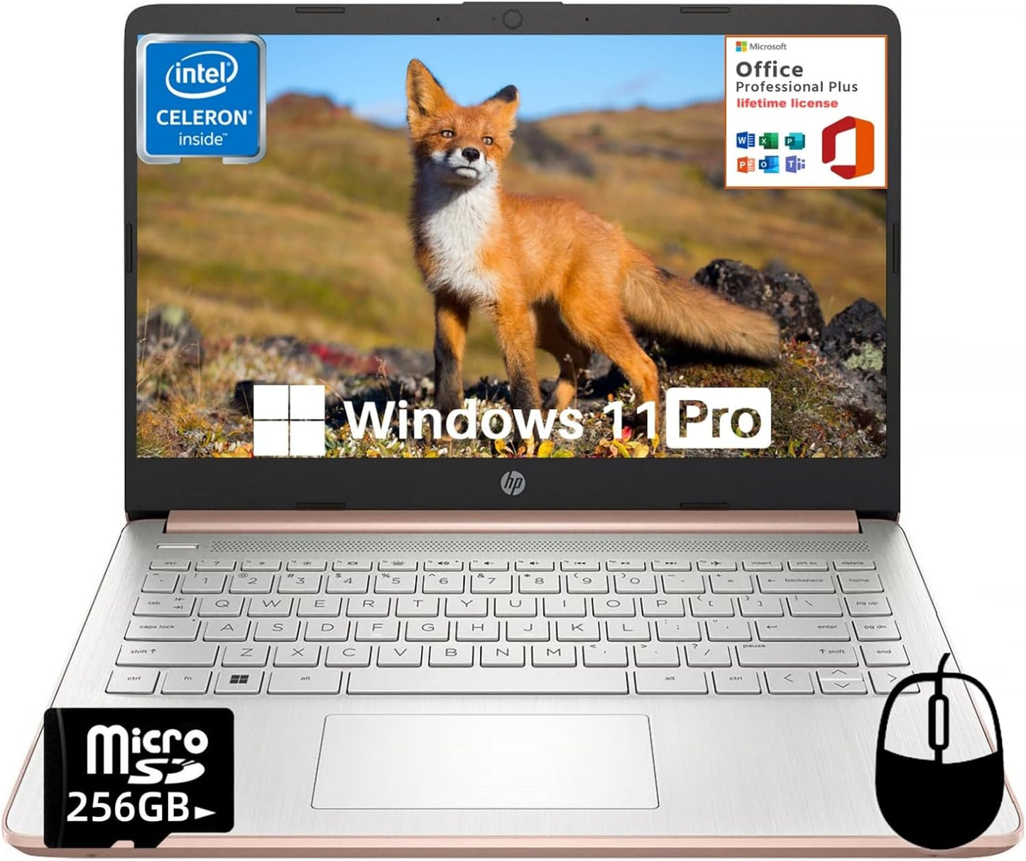 HP 14 Student Laptop with Lifetime Microsoft Office Pro