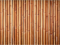 Bamboo Backdrop Party Summer Hawaiian Beach Backdrop - Large 12 x 8 ft