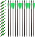 20 Inch Carbon Crossbow Bolts and Broadheads for Hunting