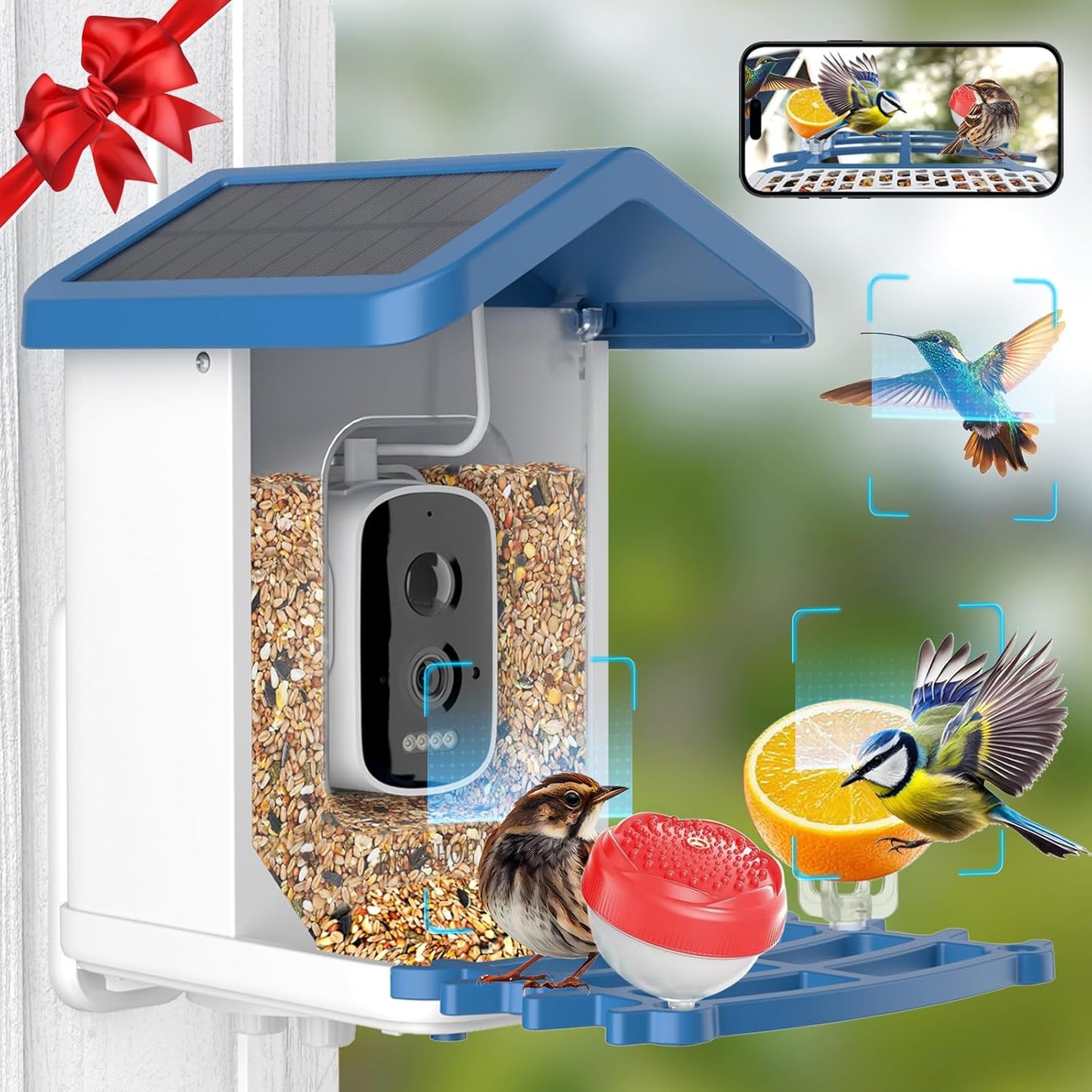 4K Birdhouse Camera - Auto Capture & Identify 16000+ Birds