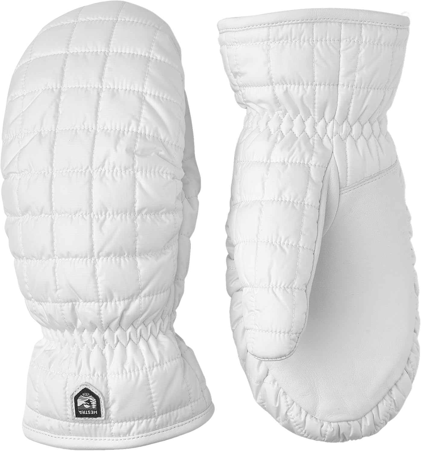 Windproof Insulated Alpine Ski Mitten