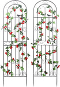 Metal Garden Trellis 70.8 in x 19.7 in 2-Pack - Decorative Plant