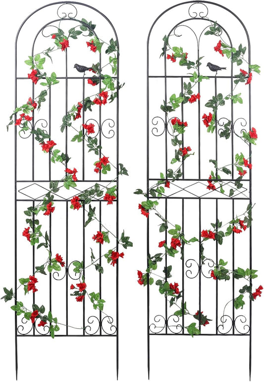 Metal Garden Trellis for Climbing Plants - 2 Pack Support