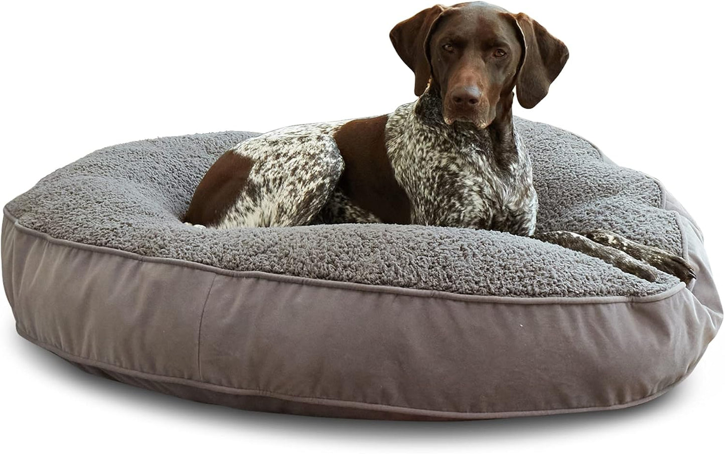 Happy Hounds Scout Deluxe Round Pillow Style Dog Bed Review