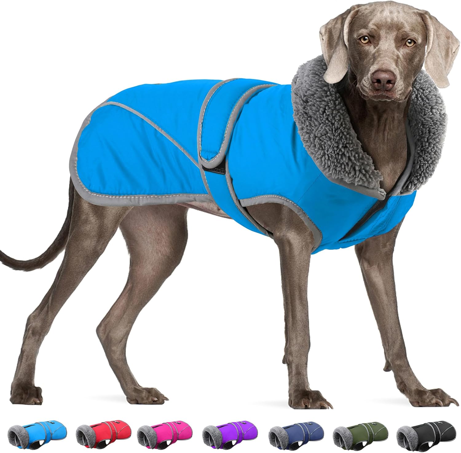 Dogcheer Dog Coat - Waterproof Winter Jacket for Dogs