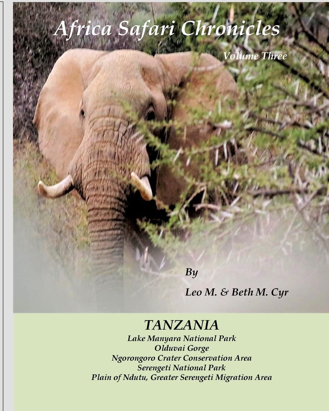 Africa Safari Chronicles: Tanzania - An Unforgettable Journey