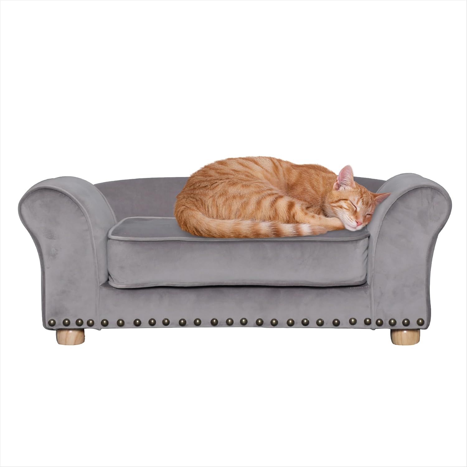 Critter Sitters 34-in Faux Velvet Pet Bed Sofa for Pets