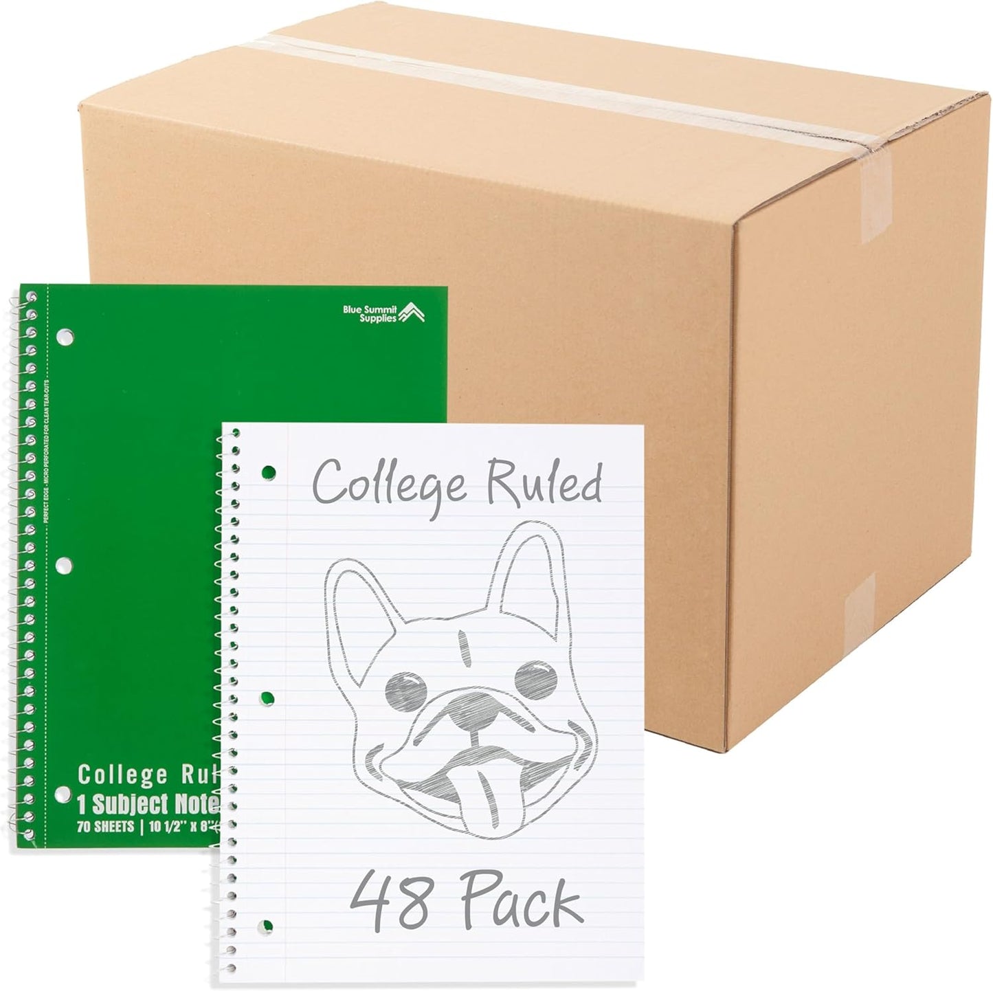 Blue Summit Green Spiral Notebooks Bulk for School and Work