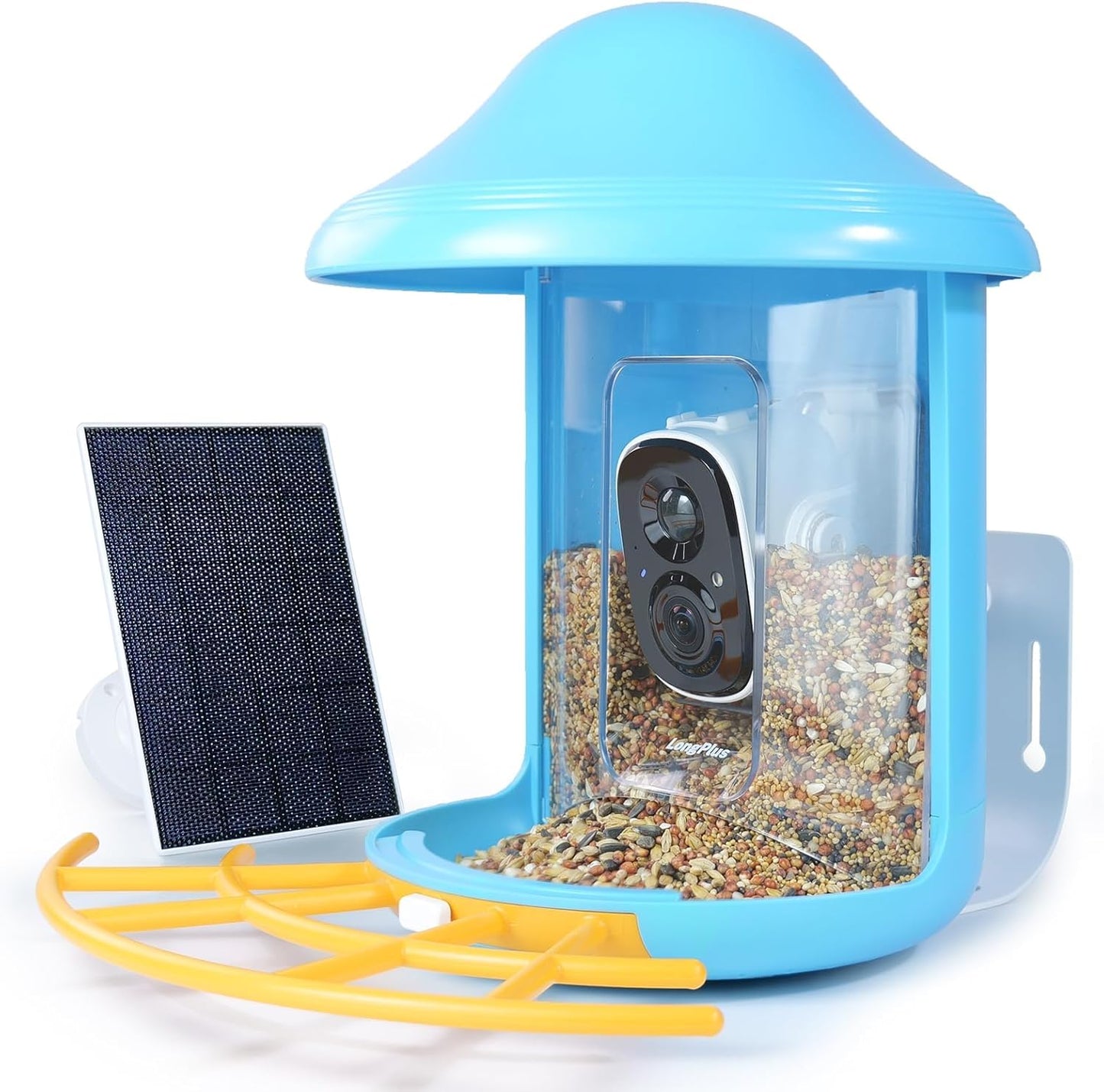 AI Bird Species ID Camera Feeder