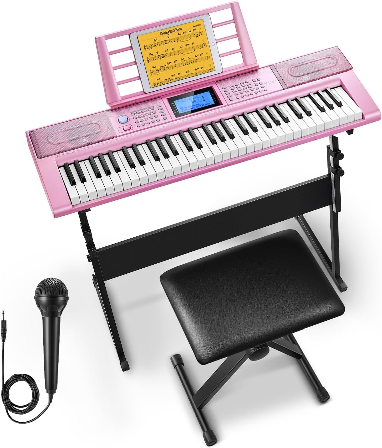 Donner 61 Key Keyboard Piano Kit with Stand and Microphone